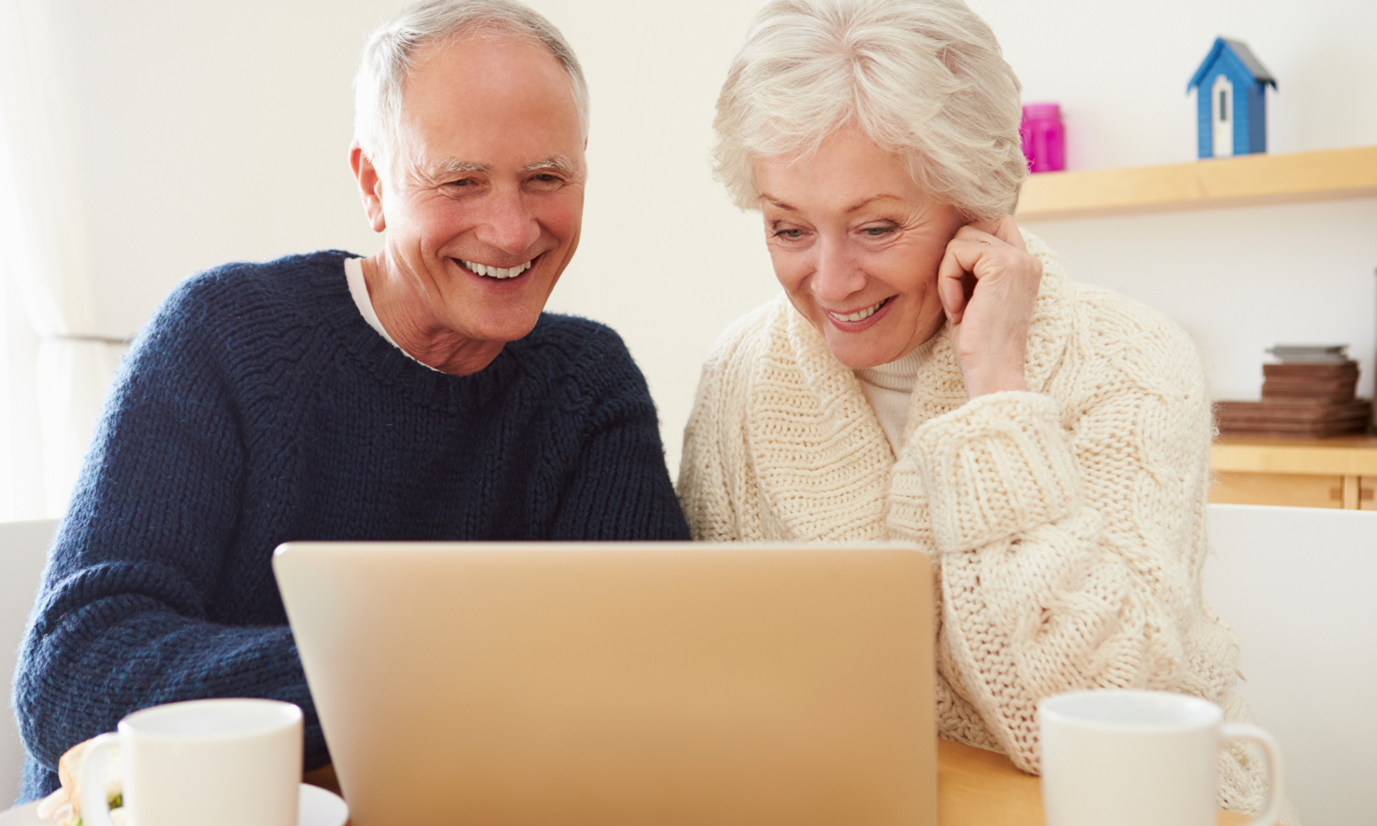 Elderly watching virtual summit online